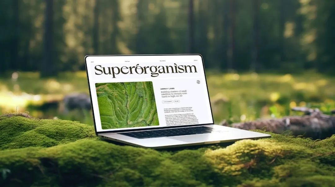 2024平面設計趨勢公布,新的合作方式和商業(yè)模式 2024平面設計趨勢公布,新的合作方式和商業(yè)模式