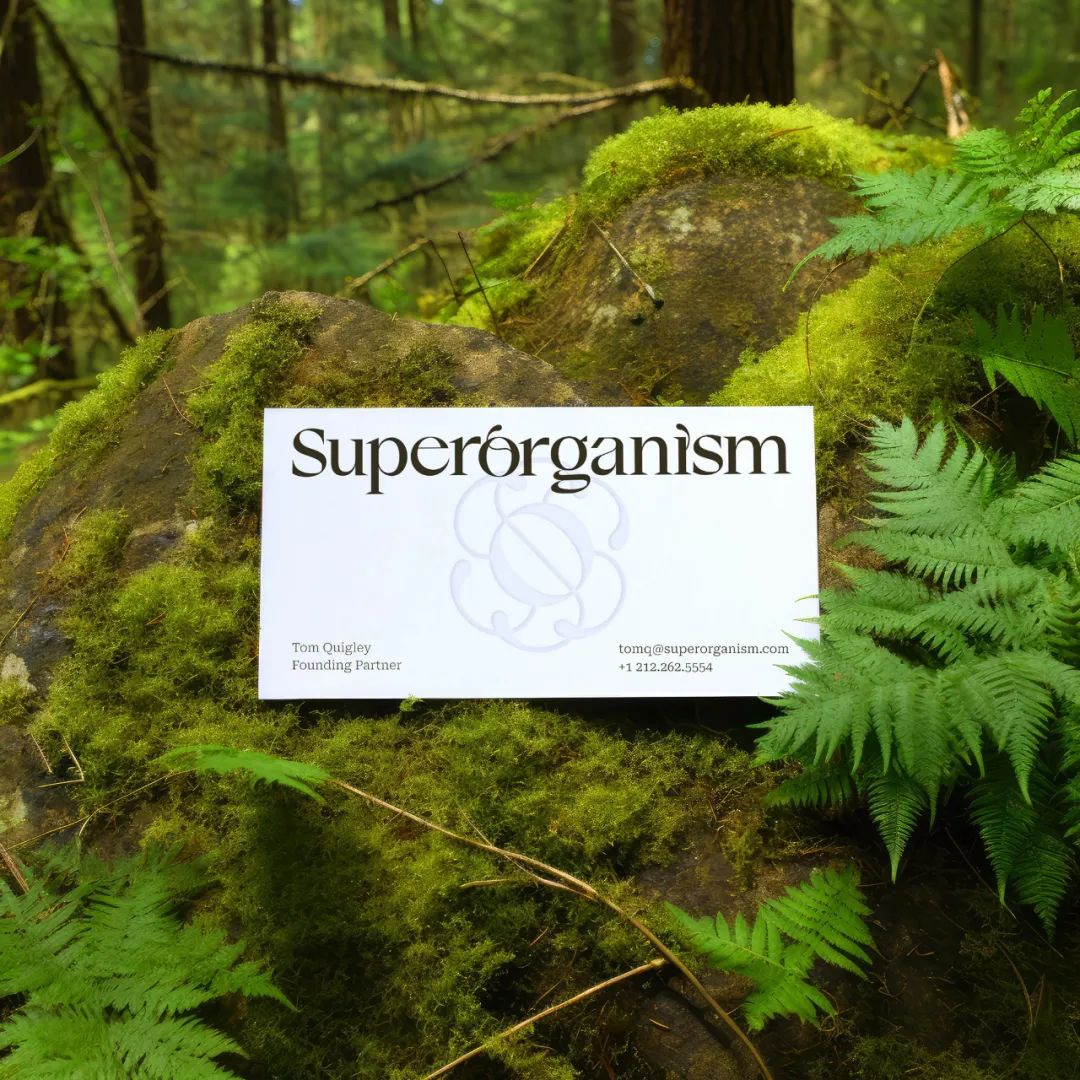 2024平面設計趨勢公布,新的合作方式和商業(yè)模式 2024平面設計趨勢公布,新的合作方式和商業(yè)模式